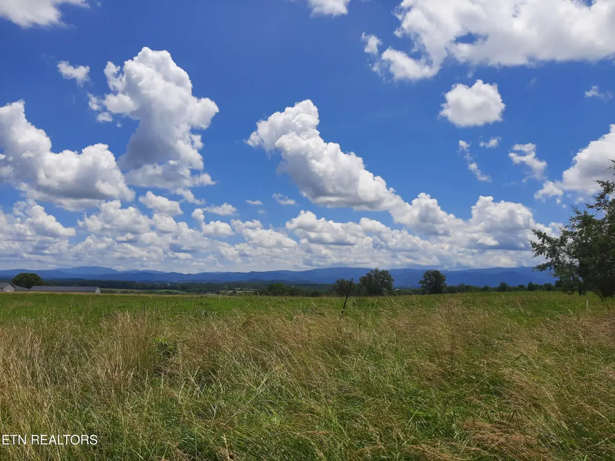 1290 Clear Springs Rd, Limestone, TN 37681 - #1