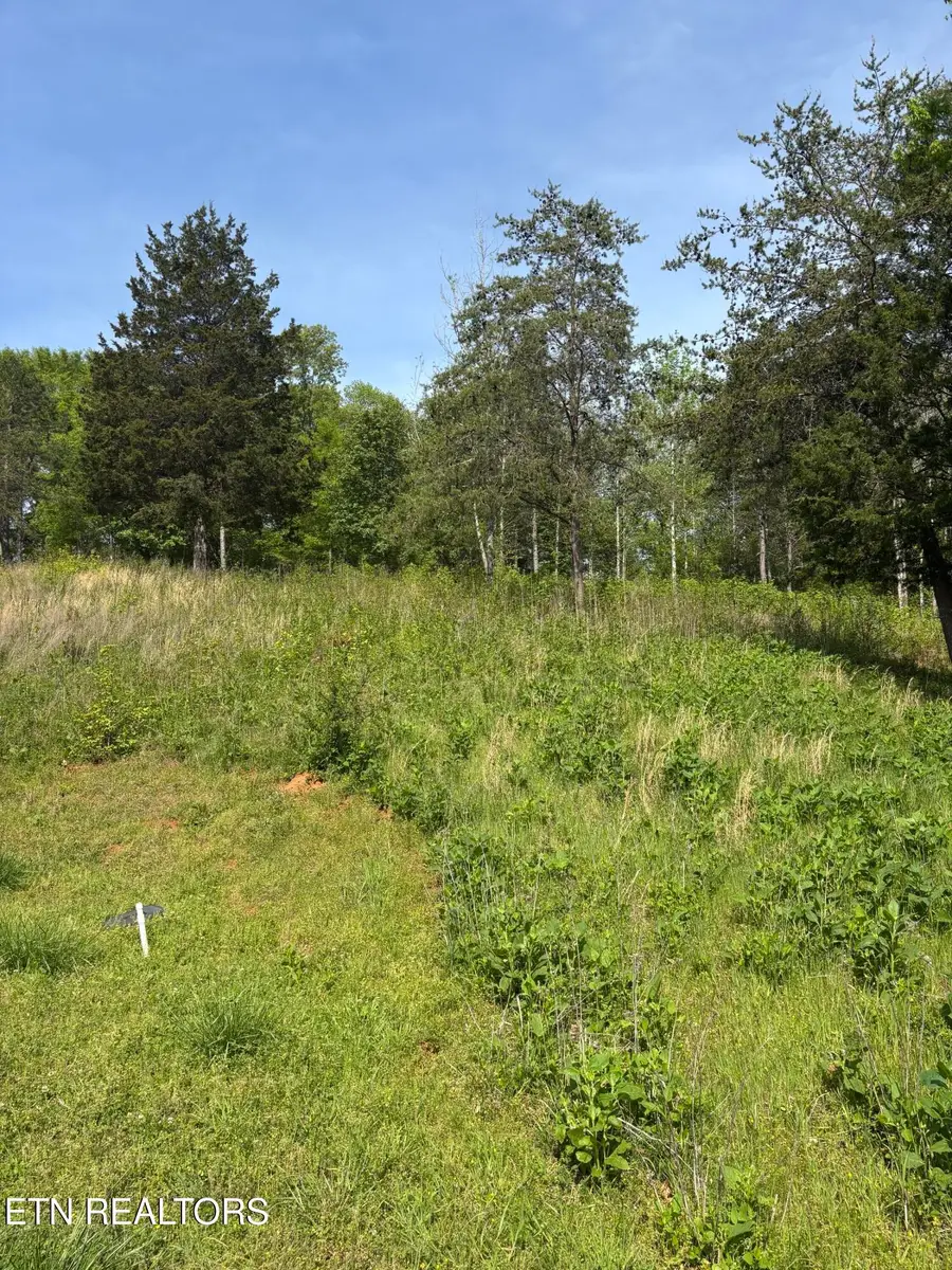 57&58 Docks Of The Bay Drive, Rockwood, TN 37854 - #3