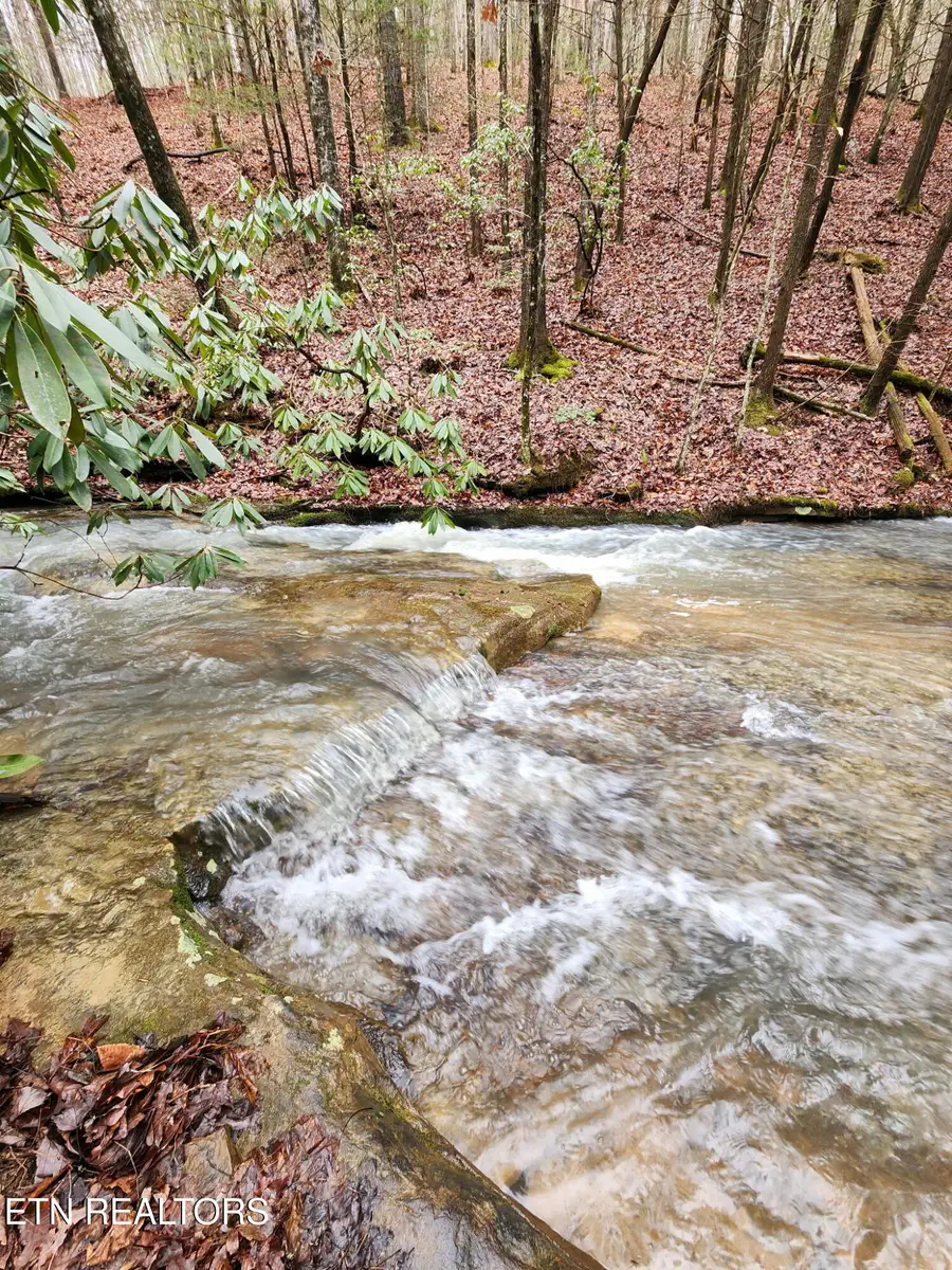 470 Bear Branch Rd, Wartburg, TN 37887 - #2