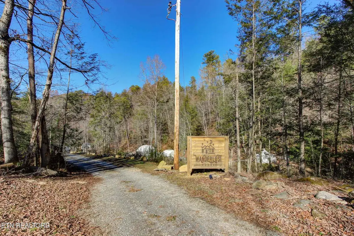 910 Windy Hill Way, Cosby, TN 37722 - #1