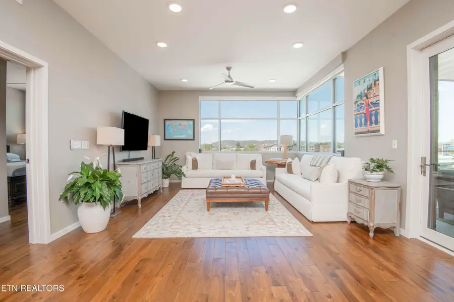 333 W Depot Ave #509, Knoxville, TN 37917 - #3