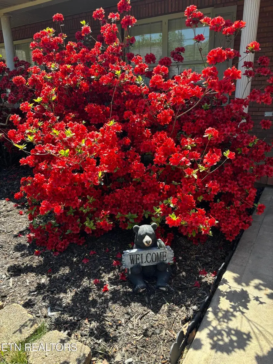 605 Marston Lane, Knoxville, TN 37920 - #3