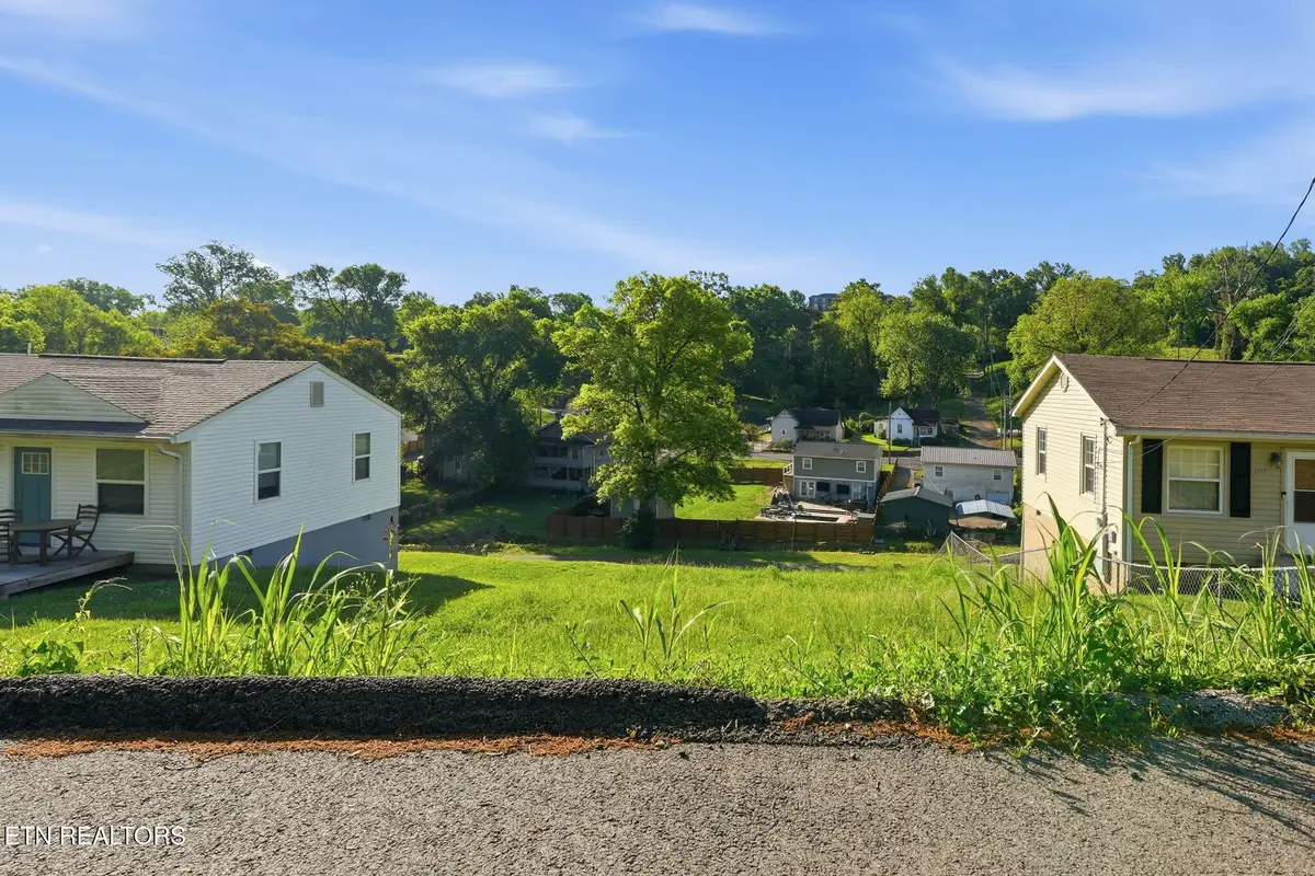 1118 Irene Ave, Knoxville, TN 37920 - #1