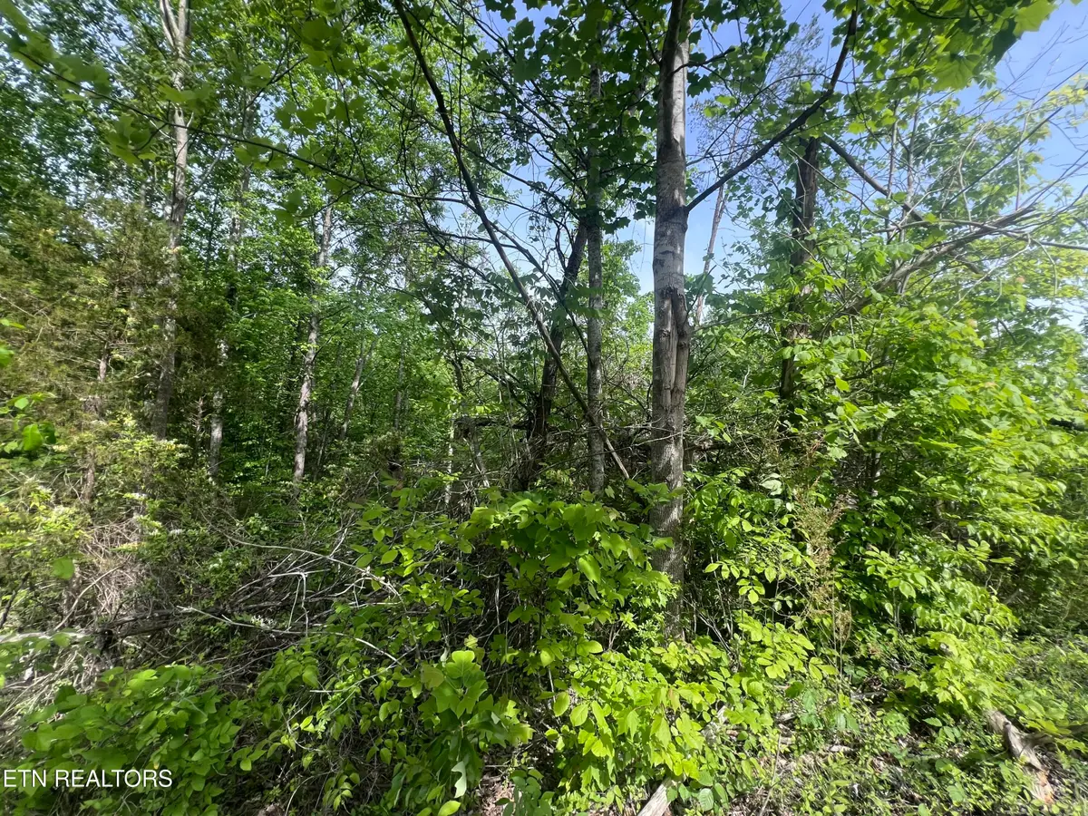 Big Hollow Rd, Monroe, TN 38573 - #1