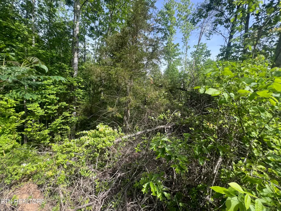 Big Hollow Rd, Monroe, TN 38573 - #3