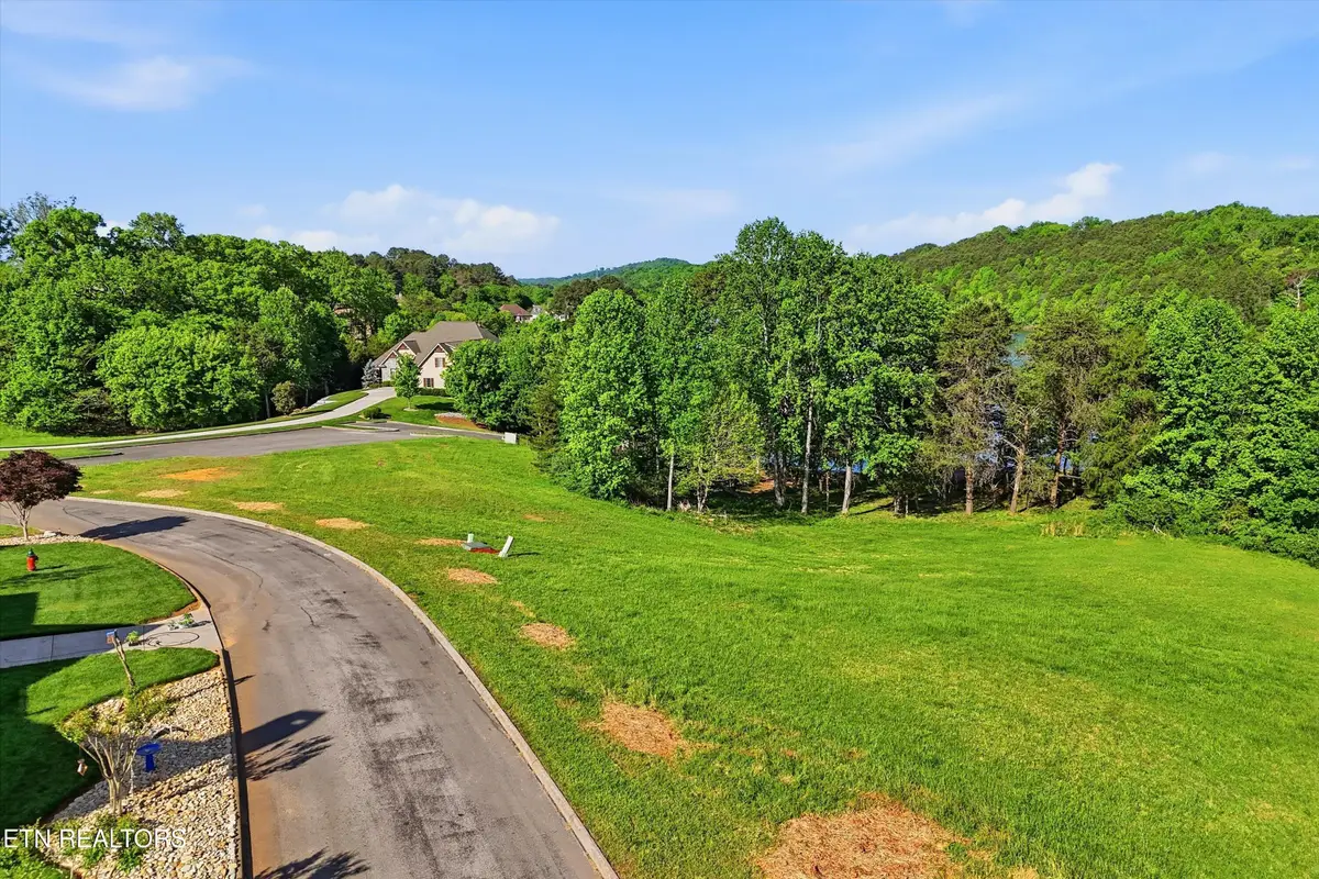 261 White Swan Drive, Vonore, TN 37885 - #1