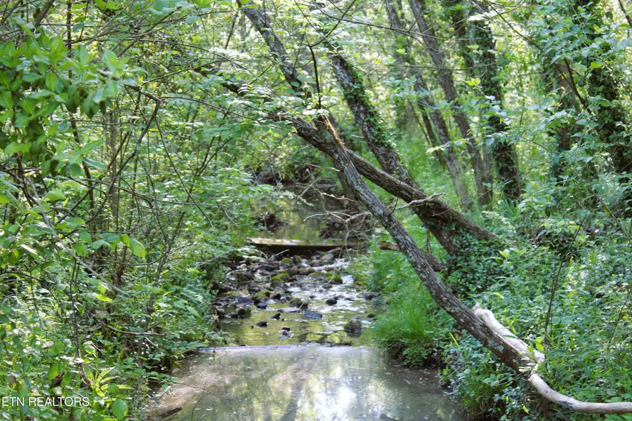 7622 Stonewood Creek, Corryton, TN 37721 - #3