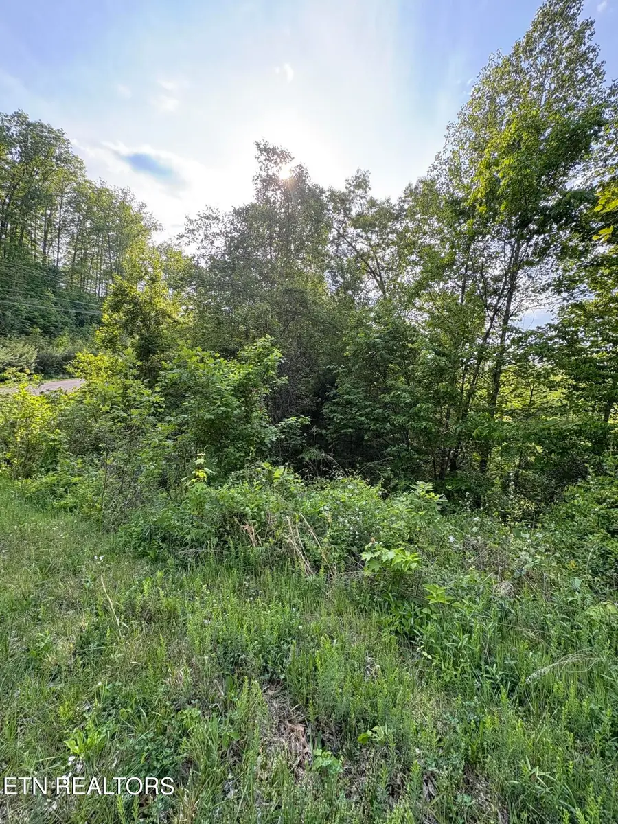 lot 29 Saddleridge Drive, Speedwell, TN 37870 - #2