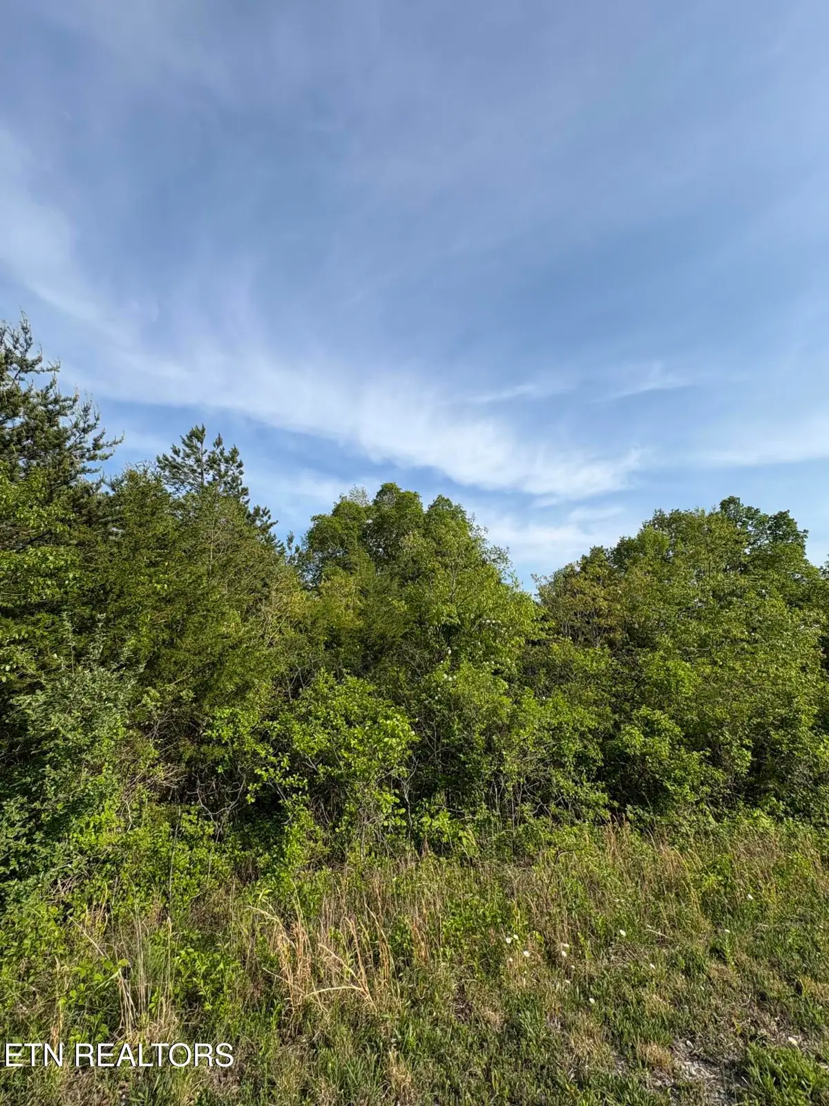 lot 60 Saddleridge Drive, Speedwell, TN 37870 - #1