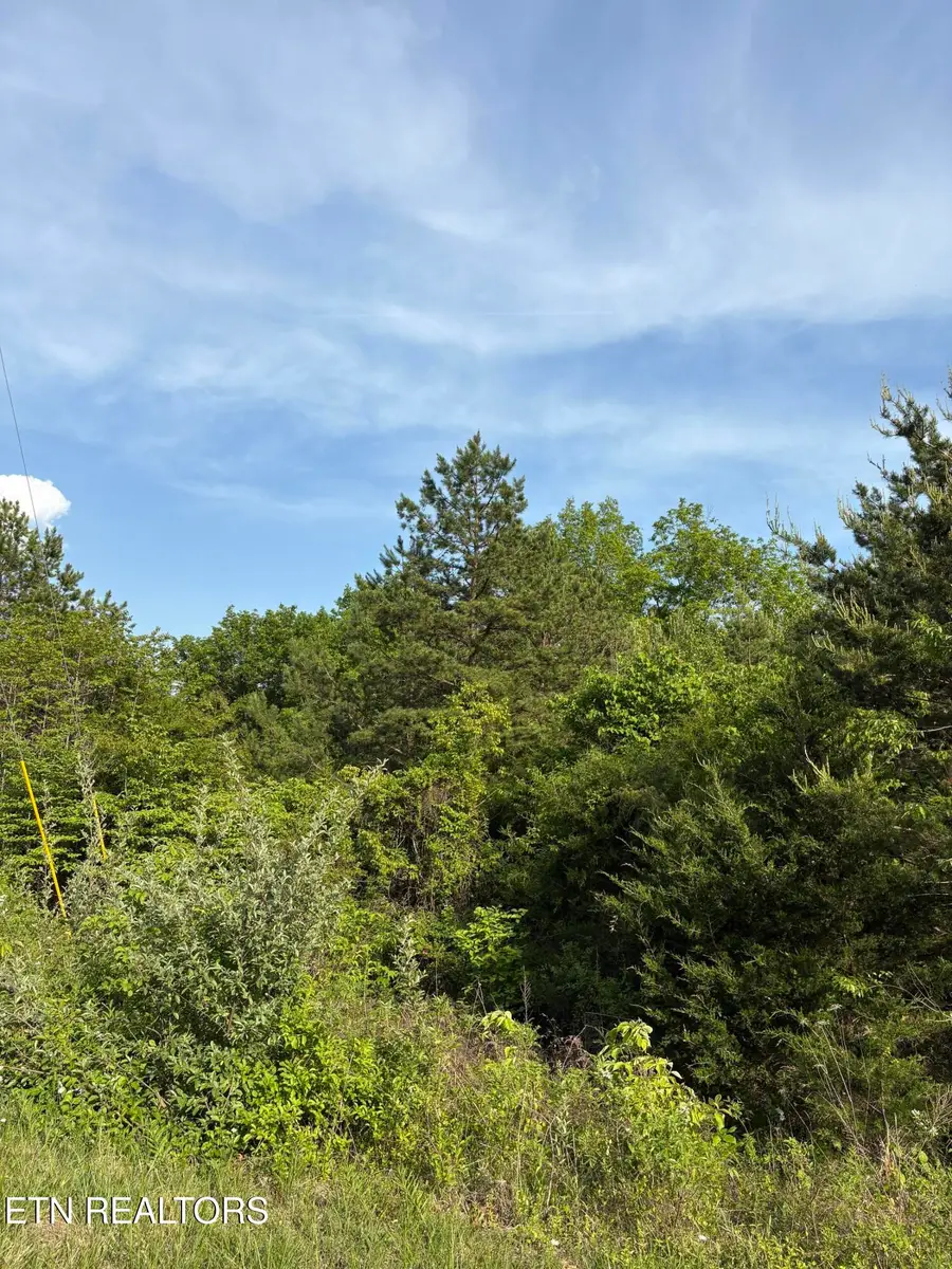 lot 60 Saddleridge Drive, Speedwell, TN 37870 - #3