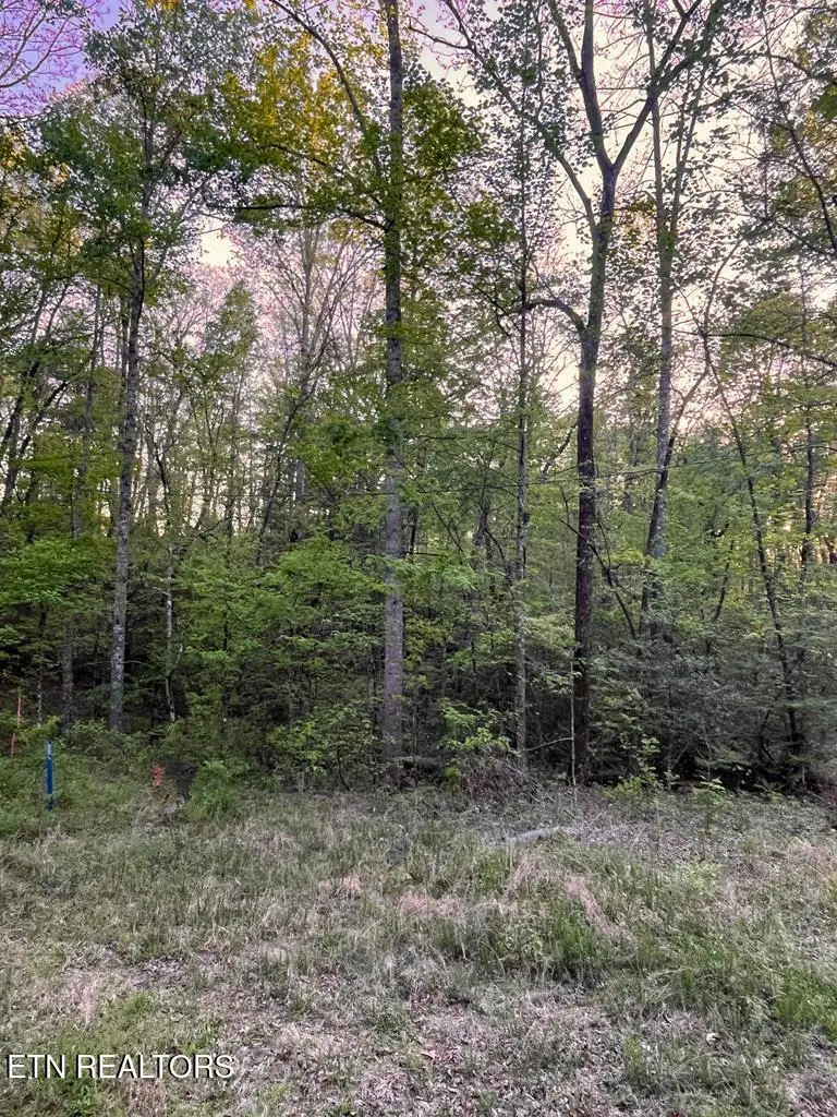0 Kiddie Circle, Crossville, TN 38572 - #2