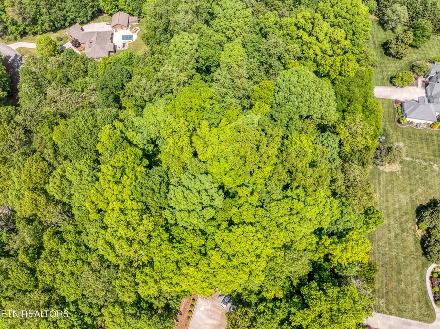 Gravelly Hills/forrest Ridge, Louisville, TN 37777 - #3