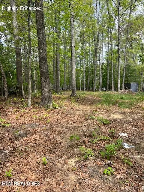 3241 Oswego Rd, Crossville, TN 38572 - #3