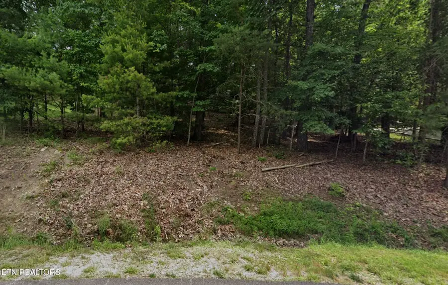 36 Markham Terrace, Fairfield Glade, TN 38558 - #2
