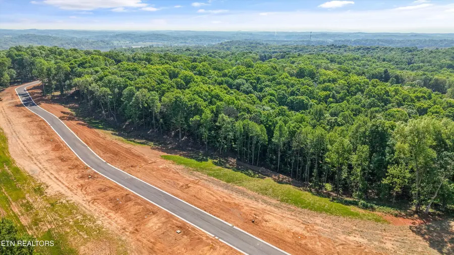 145 Canopy Trail Lane, Loudon, TN 37774 - #3