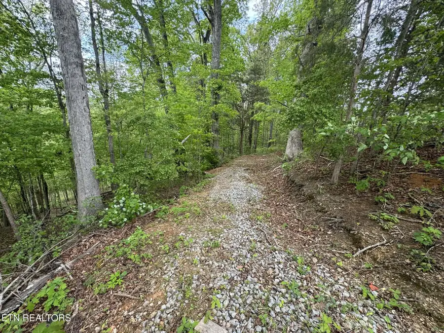 Bat Creek Shores Lane, Vonore, TN 37885 - #2