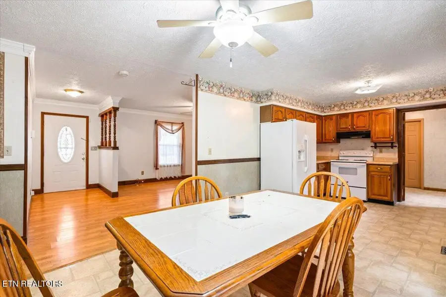 318 Springfield Drive, Lafollette, TN 37766 - #3