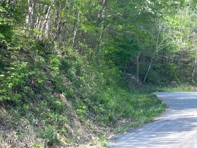 Lot 537 Whistle Valley Rd, New Tazewell, TN 37825 - #1