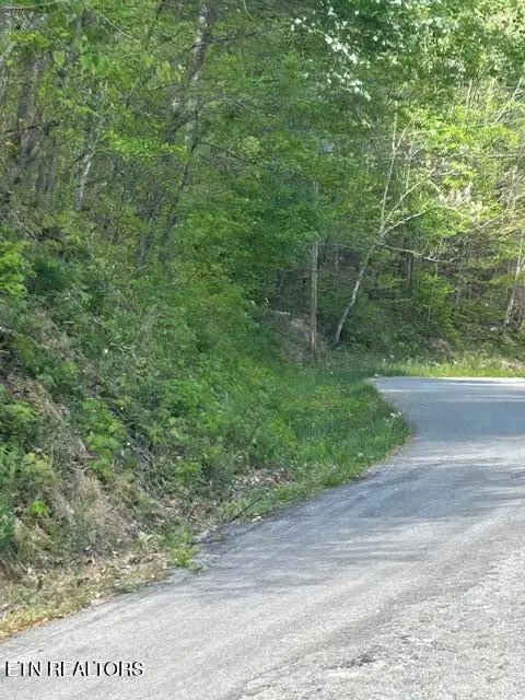 Lot 537 Whistle Valley Rd, New Tazewell, TN 37825 - #2