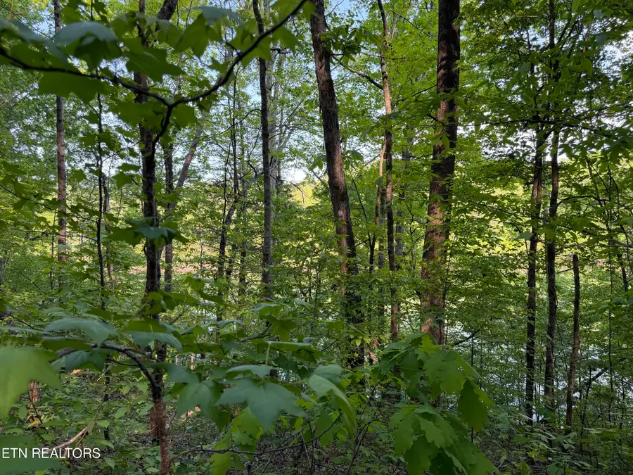 3 Three Point Rd, Vonore, TN 37885 - #3