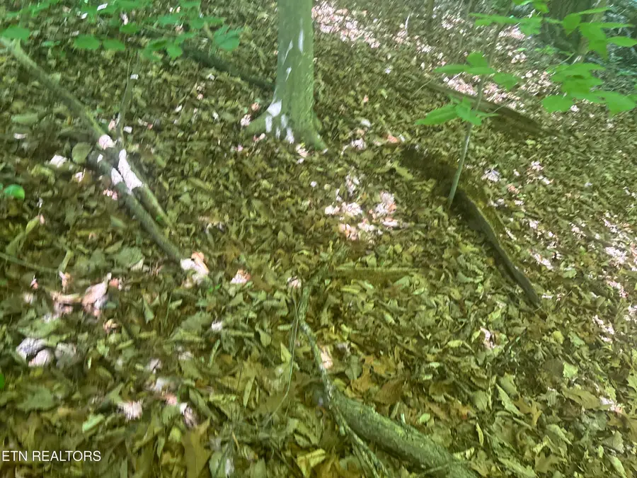 1160 Navy Drive Sw, Knoxville, TN 37920 - #2