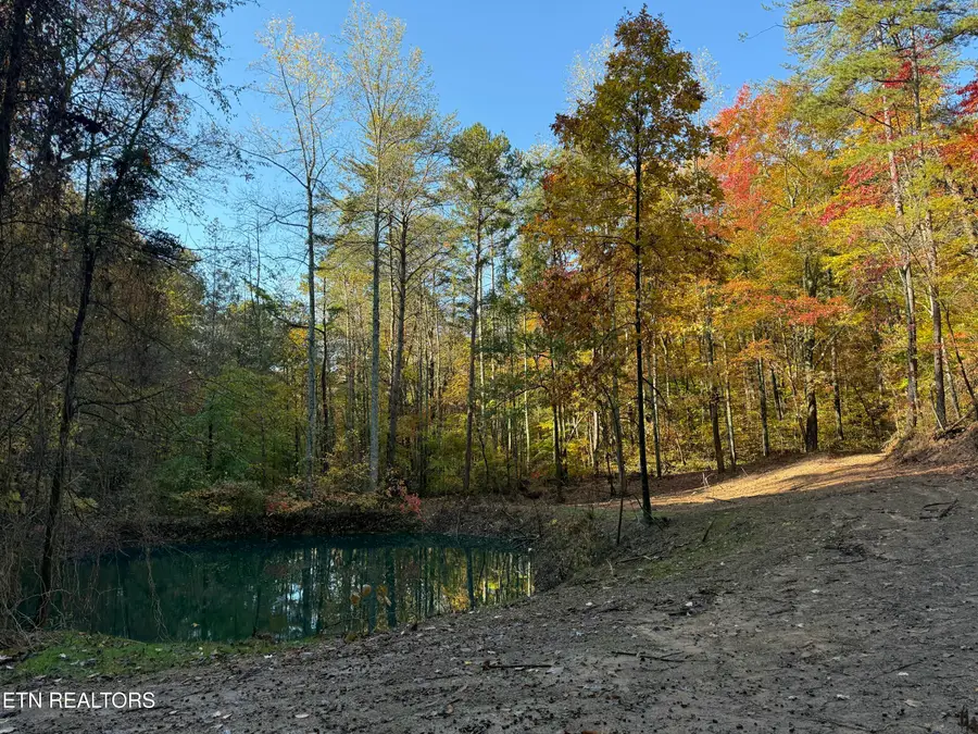 425 Smokey Rd, Rutledge, TN 37861 - #2