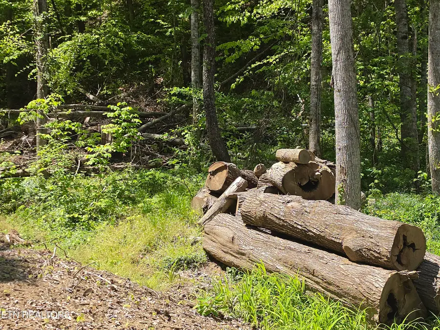 TBD S Highway 25e Hwy, Tazewell, TN 37879 - #3