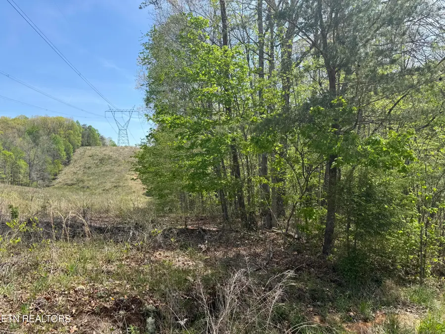 0 T Rd, Monterey, TN 38574 - #3