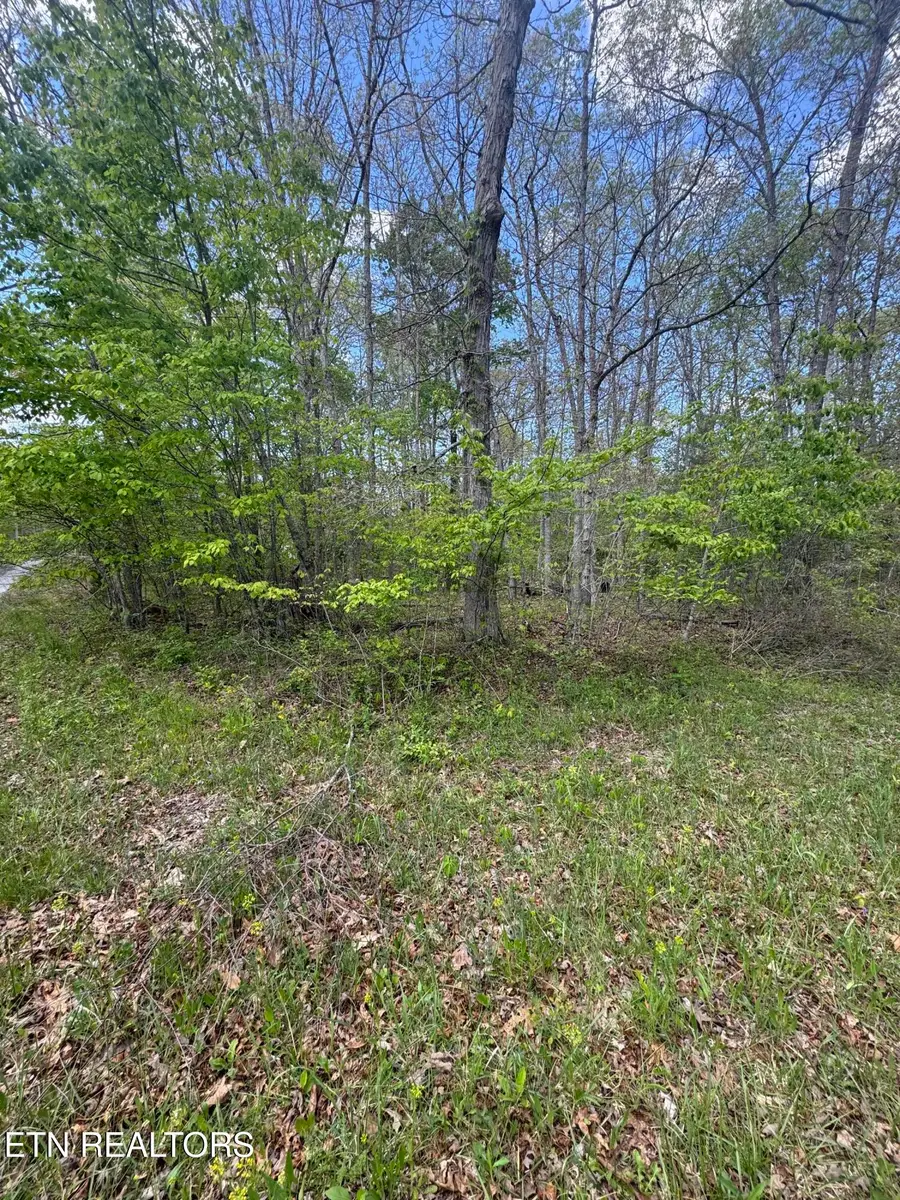 50 Redwing Circle, Crossville, TN 38572 - #2