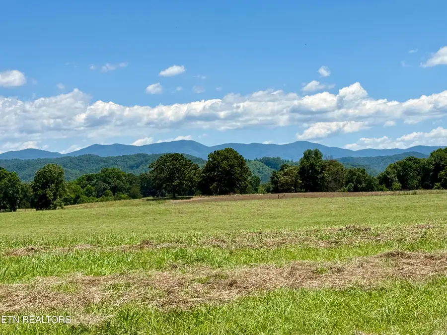 880 & 890 Fairview Rd, Tellico Plains, TN 37385 - #2