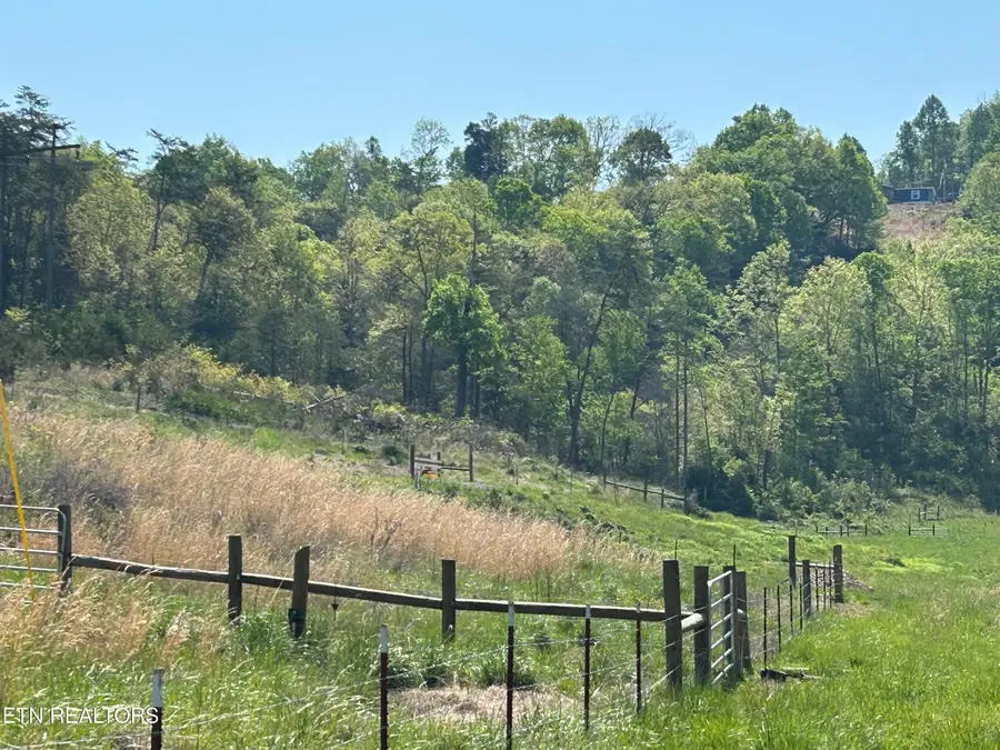 TBD Trent Valley Rd, Sneedville, TN 37869 - #2