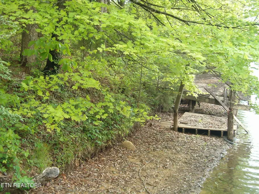 Centers Patton Rd, Harriman, TN 37748 - #2