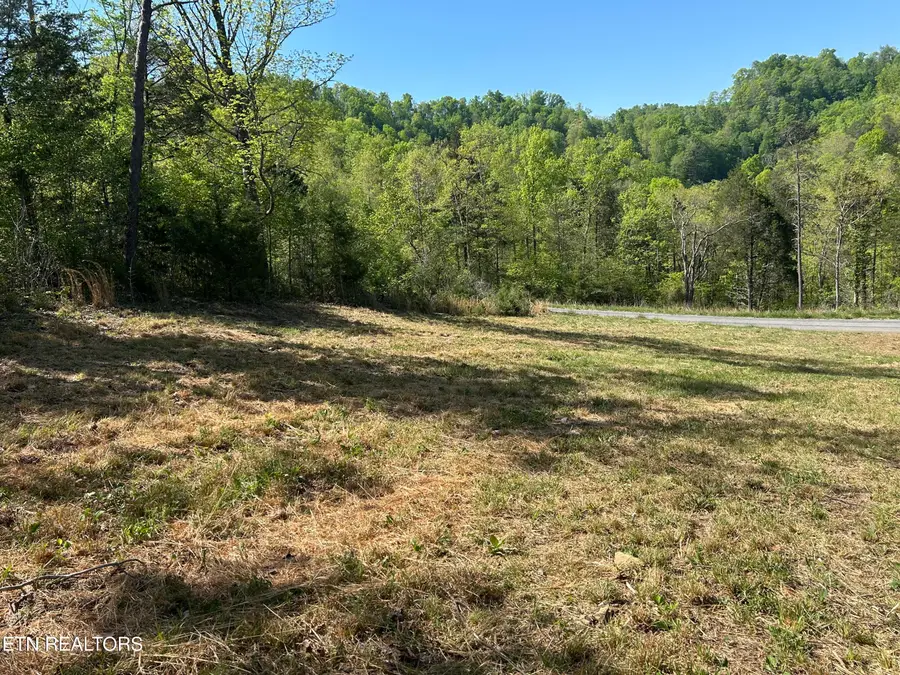 Long Hollow Rd, Sneedville, TN 37869 - #3