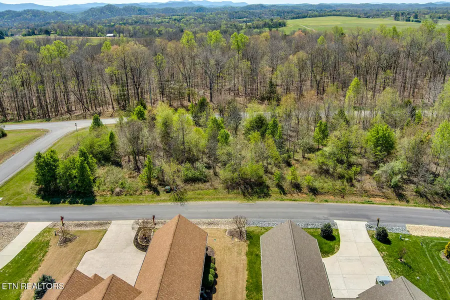 217 Walelu Tr, Vonore, TN 37885 - #2