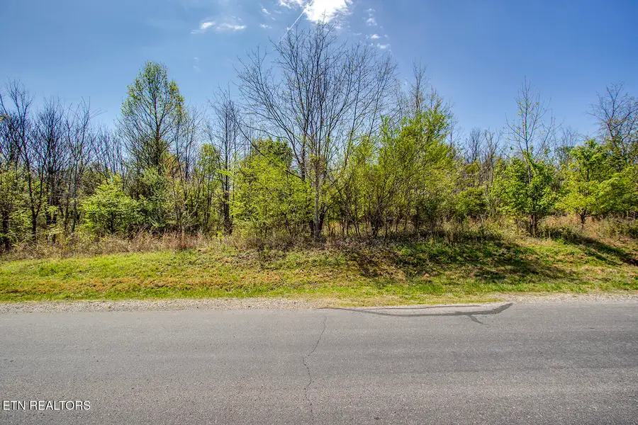 217 Walelu Tr, Vonore, TN 37885 - #3