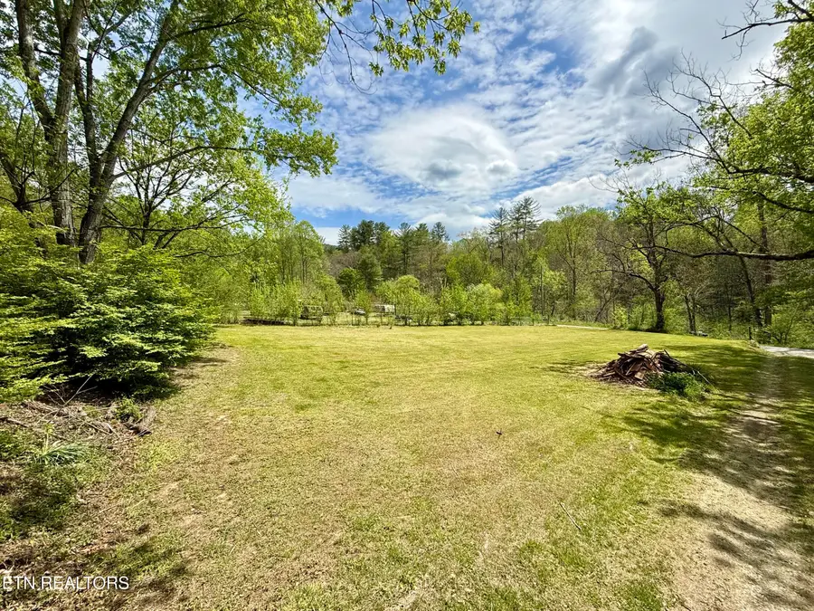 4273 Possum Hollow Rd, Cosby, TN 37722 - #2