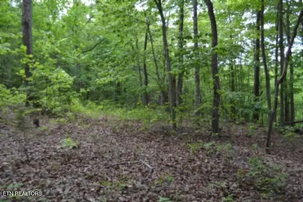 Lot 6 Forest Trails Lane, Celina, TN 38551