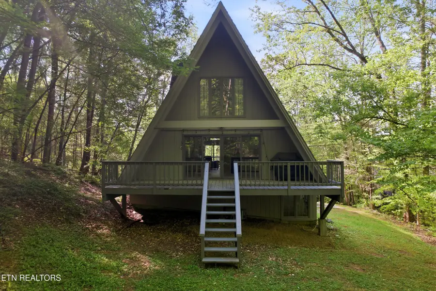 313 Domar Drive, Townsend, TN 37882 - #2