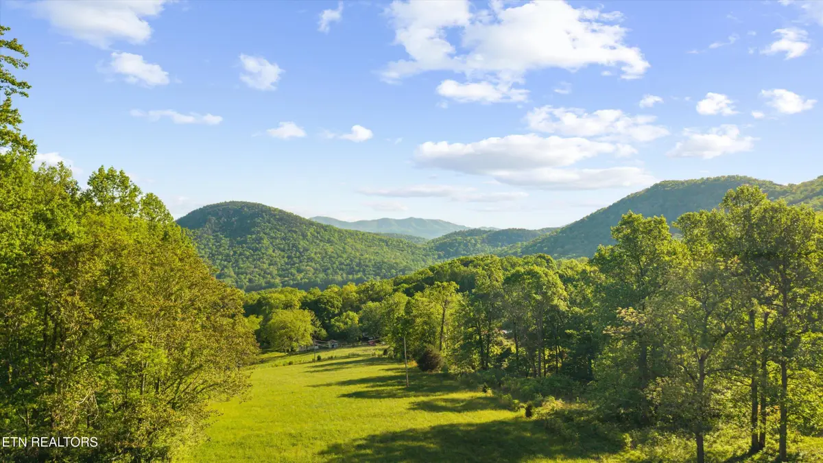 172 Pam Lane, Townsend, TN 37882 - #1