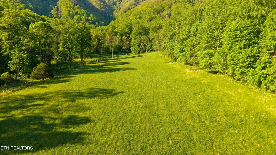 172 Pam Lane, Townsend, TN 37882 - #2