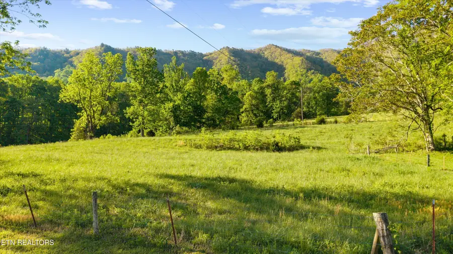 172 Pam Lane, Townsend, TN 37882 - #3