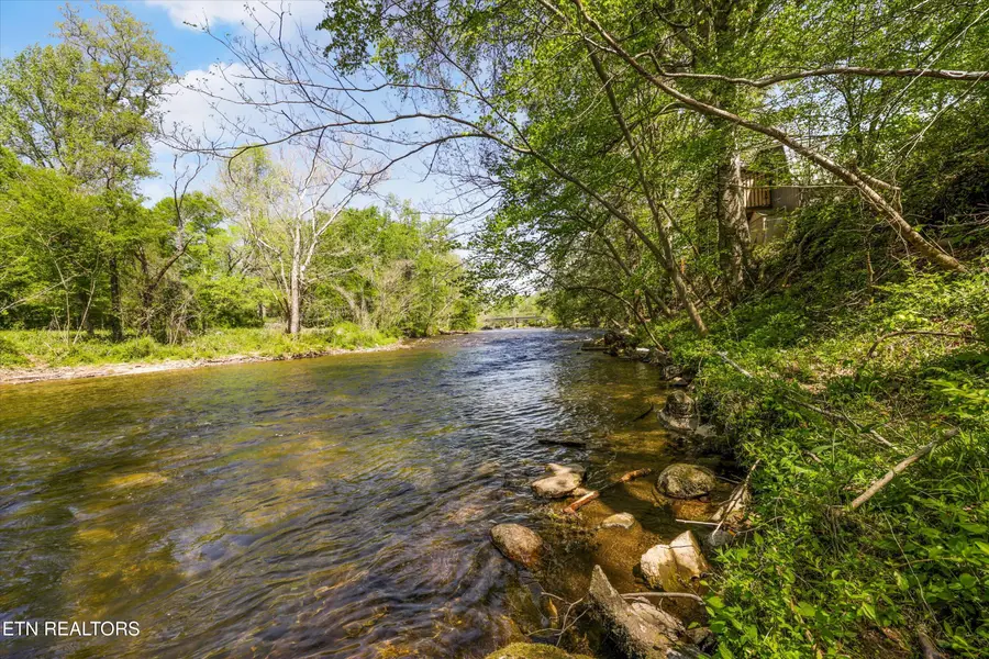 7637 E Lamar Alexander Pkwy, Townsend, TN 37882 - #3