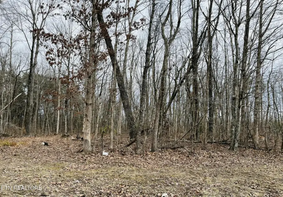 Diane Circle, Crossville, TN 38572 - #2