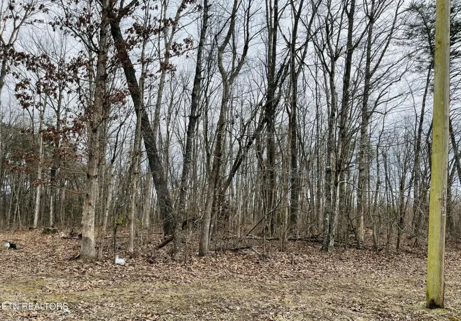 Diane Circle, Crossville, TN 38572 - #3