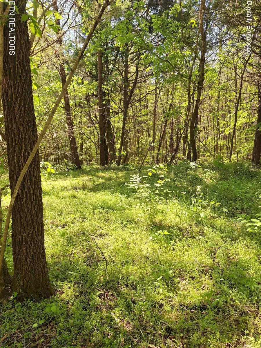 Payne Rd, Tellico Plains, TN 37385 - #2