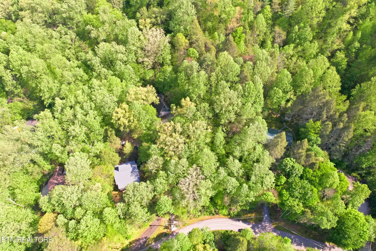 Domar Drive #Lot 4R, Townsend, TN 37882 - #1