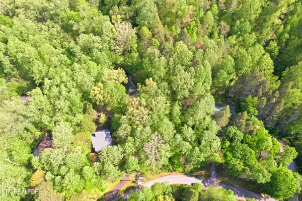 Domar Drive #Lot 4R, Townsend, TN 37882