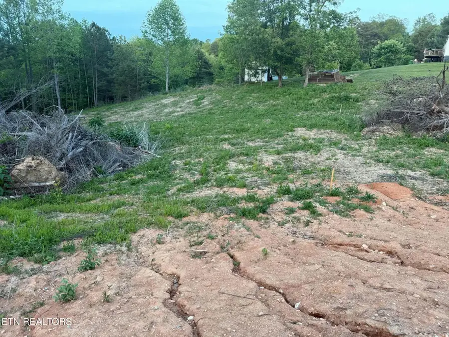 2116 Snodgrass Rd, New Tazewell, TN 37825 - #3