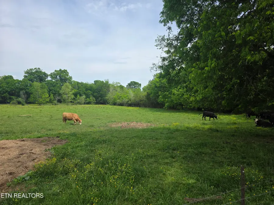 Lot 1 Maloneyville Rd, Corryton, TN 37721 - #3