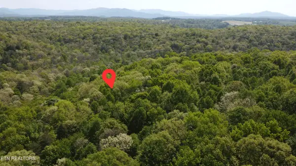 391 Ridge Rd, Lancing, TN 37770